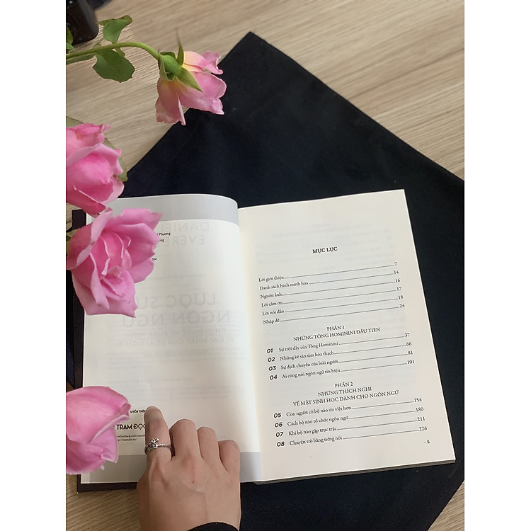 Cuộc Phiêu Lưu Của Ngôn Ngữ Anh - Ảnh 3