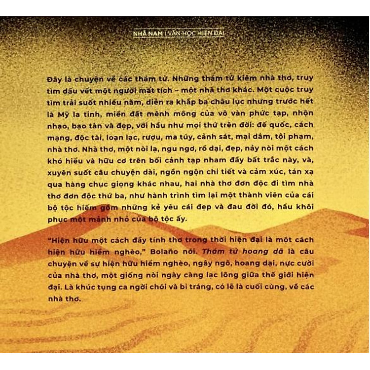 Thám tử hoang dã (Roberto Bolaño) - Ảnh 3