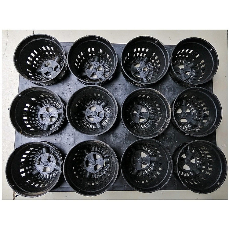 COMBO 1KHAY NHỰA CỨNG 12 LỖ + 12 CHẬU NHỰA FI 10CM TRỒNG RAU ƯƠM MẦM