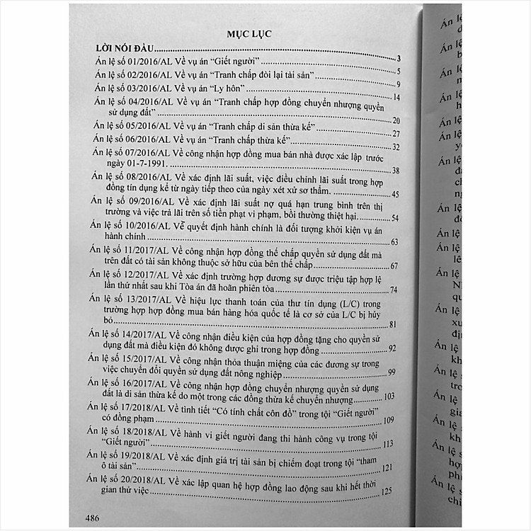 Hệ Thống 72 Án Lệ Việt Nam Hiện Hành - Ảnh 6