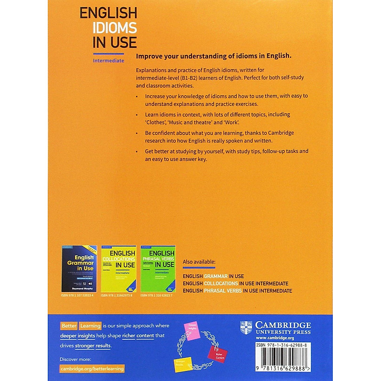 English Idioms in Use Intermediate Book With Answers - Ảnh 6