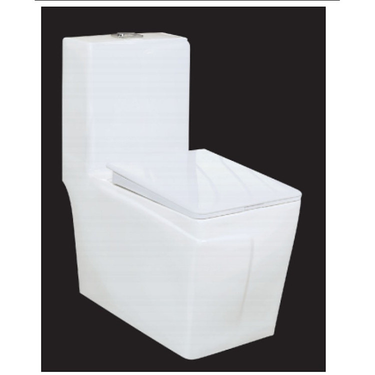 Bồn cầu 1 khối thương hiệu RHENWARE CB-908