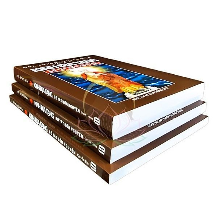 Kinh Địa Tạng Bồ Tát Bổn Nguyện Giảng Giải (Bộ 3 Tập) - Ảnh 3