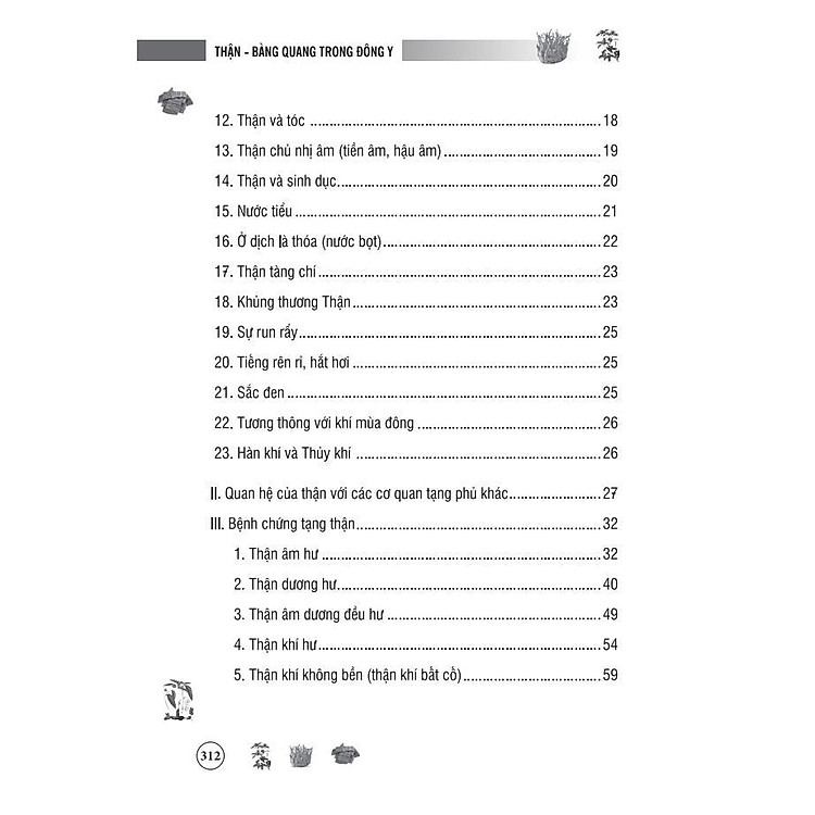 Thận Bàng Quang Trong Đông Y - Ảnh 6