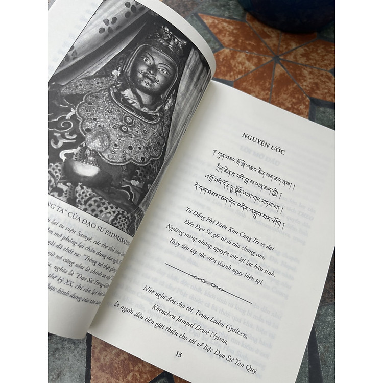 THEO CHÂN ĐẠO SƯ – ĐỨC LIÊN HOA SINH Ở NEPAL (Tập 1) - Ảnh 7