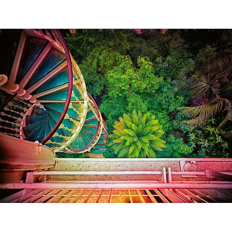 Greenhouses-Cathedrals For Plants - Ảnh 4