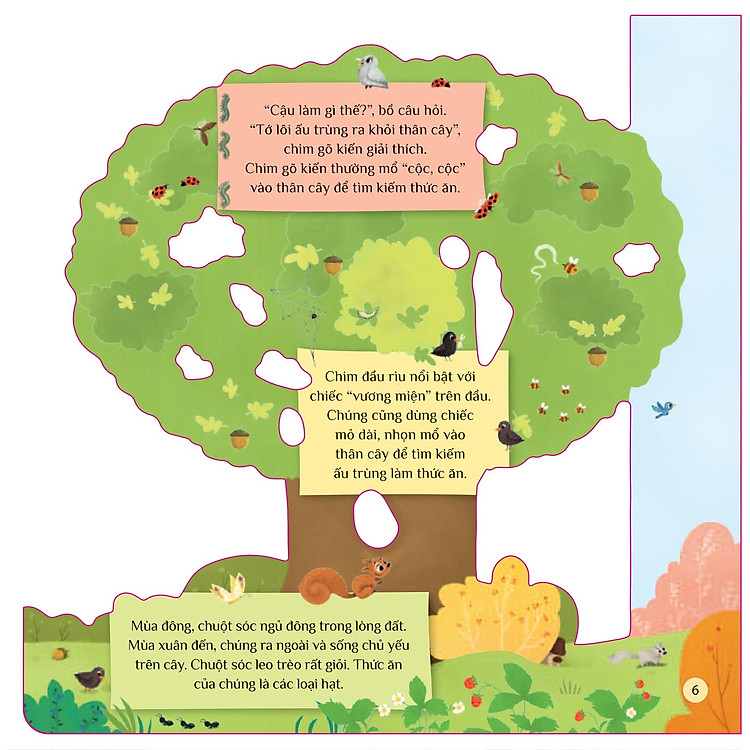 Tò Mò Muốn Biết… Trên Cây Cao - Ảnh 7