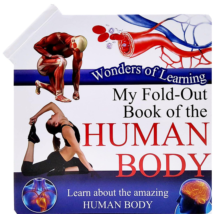 Wonder Of Learning - My Fold-Out Book Of The Human Body - Ảnh 2
