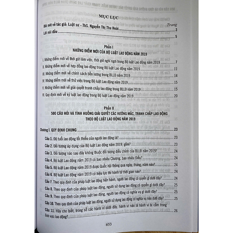 500 Câu Hỏi Và Tình Huống Giải Các Vướng Mắc Tranh Chấp Lao Động Theo Bộ Luật Lao Động Năm 2019 - Ảnh 5