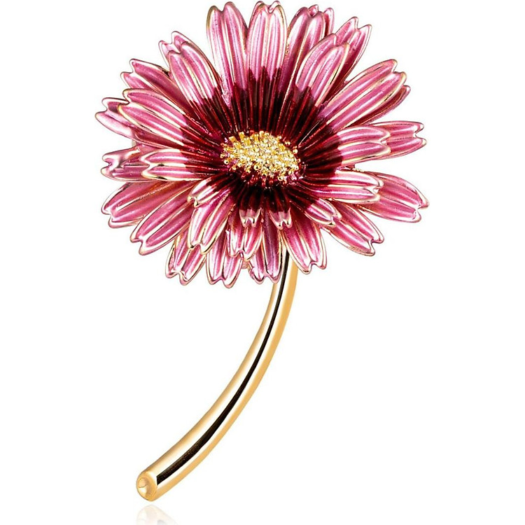 CÀI ÁO HOA CÚC HỒNG KOREA