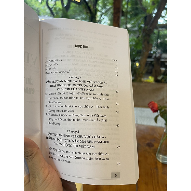 VIỆT NAM TRƯỚC TÁC ĐỘNG CỦA CẤU TRÚC AN NINH TẠI KHU VỰC CHÂU Á - THÁI BÌNH DƯƠNG - Ảnh 2