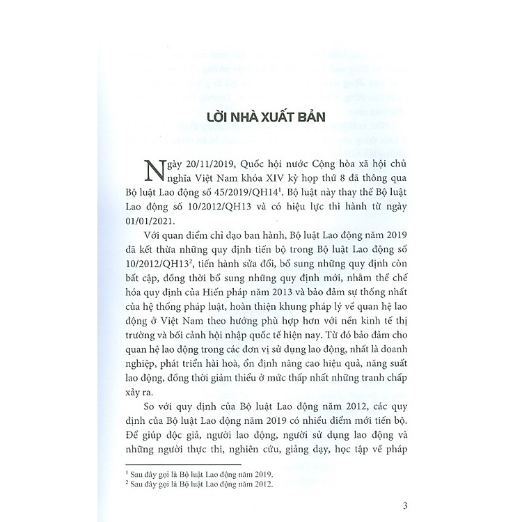 Bình Luận Những Điểm Mới Của Bộ Luật Lao Động Năm 2019 - Ảnh 2