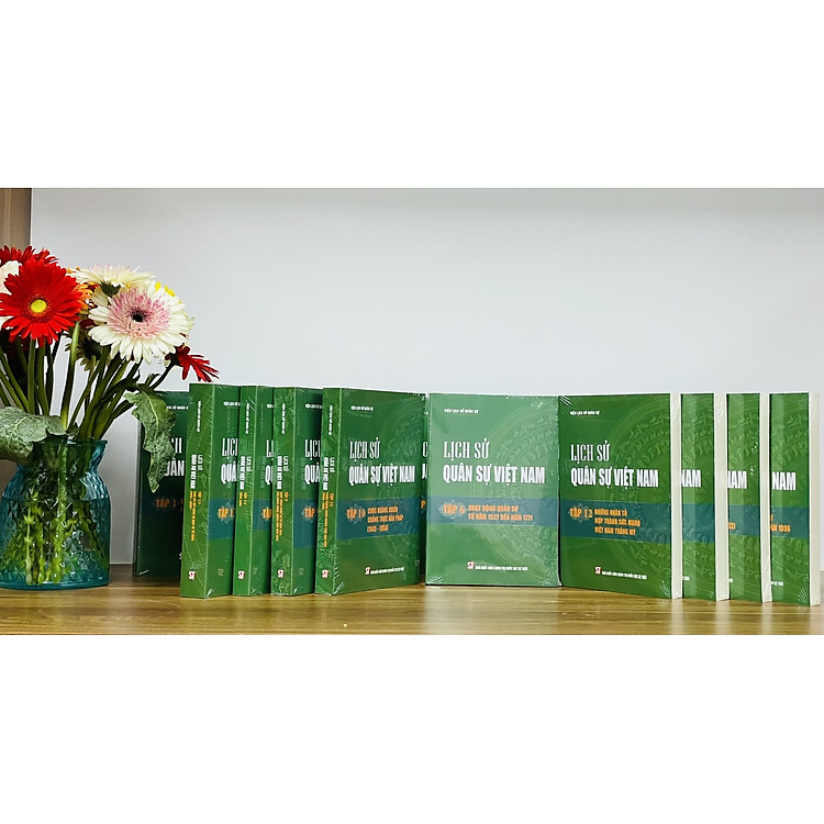 LỊCH SỬ QUÂN SỰ VIỆT NAM (14 tập) - Ảnh 2