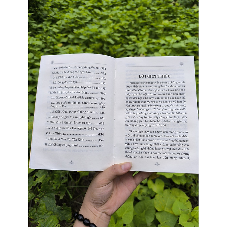 Kinh Dược Sư và Giảng Giải Kinh Dược Sư - Ảnh 6