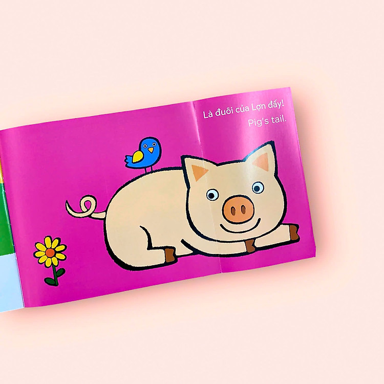 Đuôi Của Ai Thế Nhỉ? - Whose tail? - Bộ Sách Lật Mở Khám Phá Song Ngữ - Ảnh 6