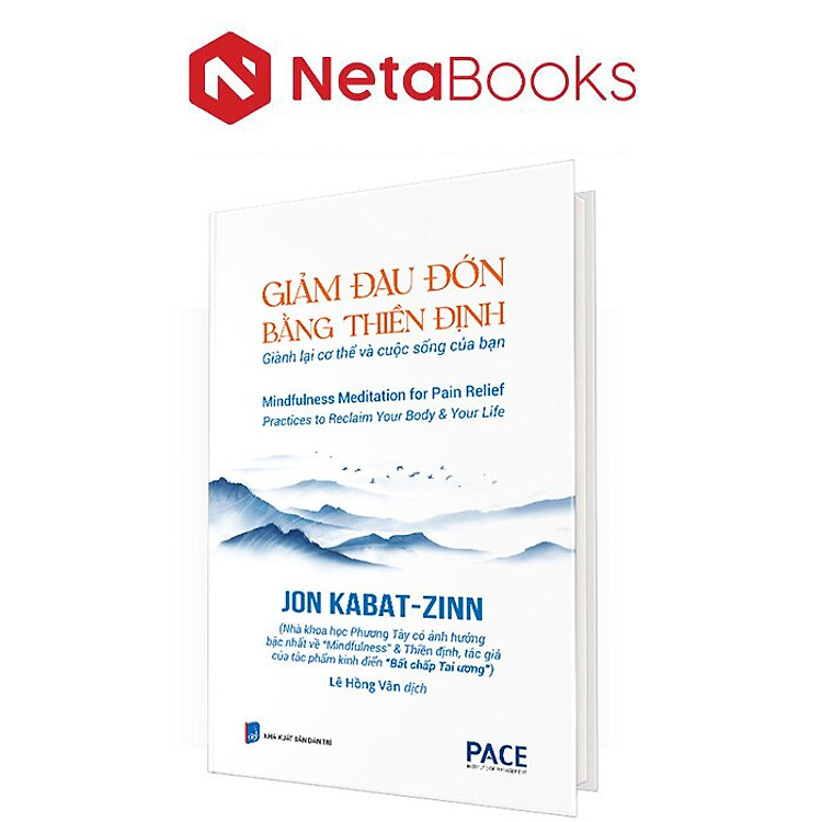 Mua tại Newshop: Giảm Đau Đớn Bằng Thiền Định