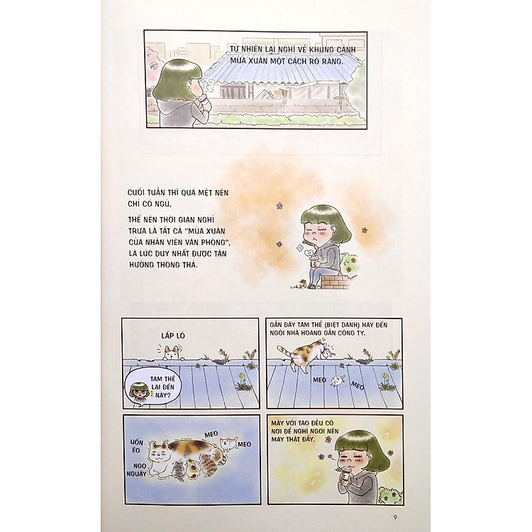 Chú Mèo Rụng Lông Không Có Điểm Dừng - Ảnh 7