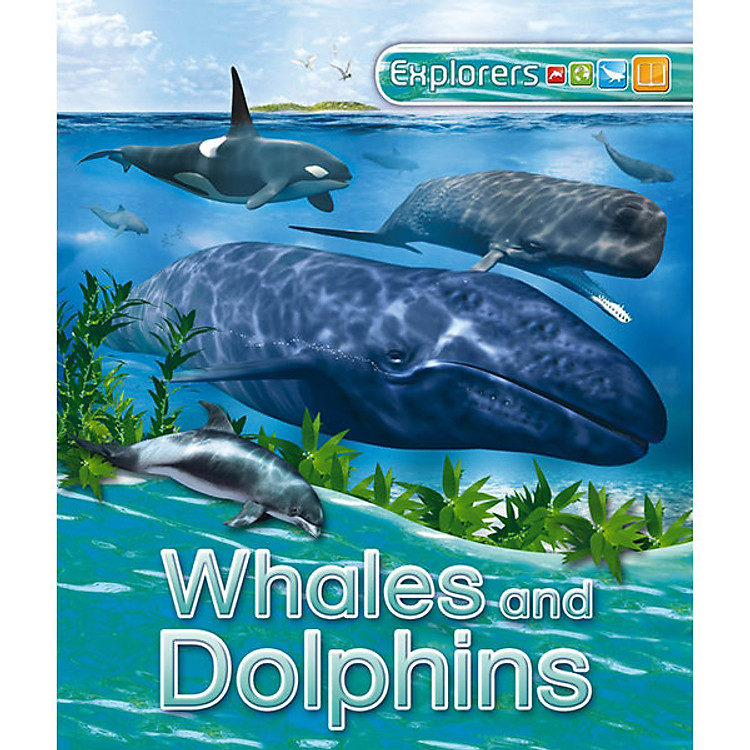 Sách Explorers: Whales And Dolphins