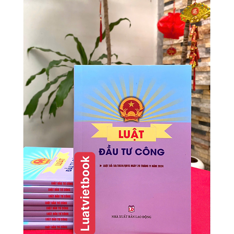 Luật Đầu Tư Công - Ảnh 2