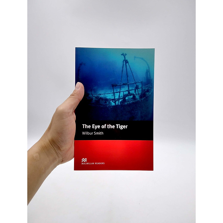 MR; Eye Of The Tiger Int - Ảnh 7