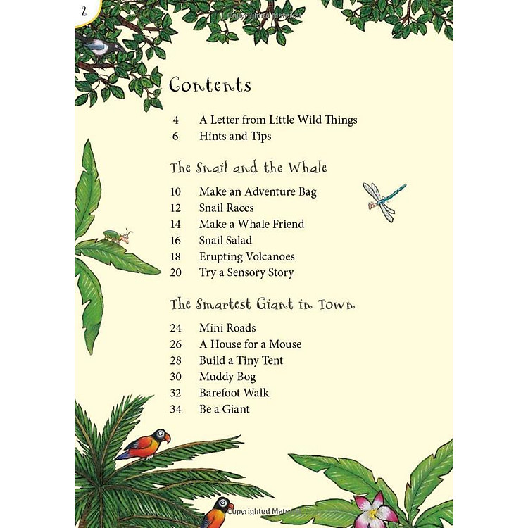 The Snail And The Whale And Friends Outdoor Activity Book - Ảnh 5