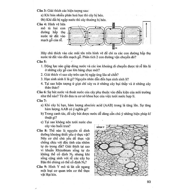 Bồi Dưỡng Học Sinh Giỏi Sinh Lớp 11 - Ảnh 4