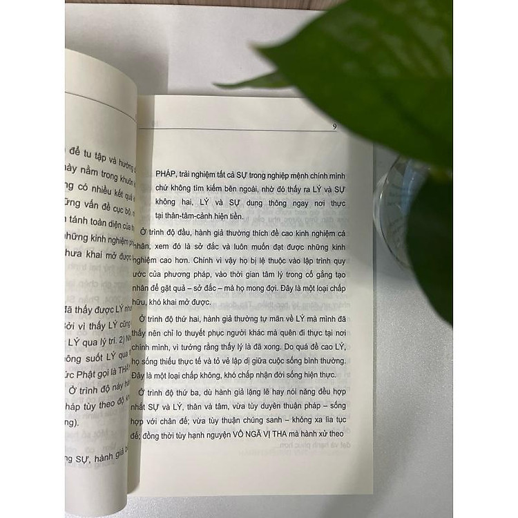 Sống Trong Thực Tại (Viên Minh) - Ảnh 4