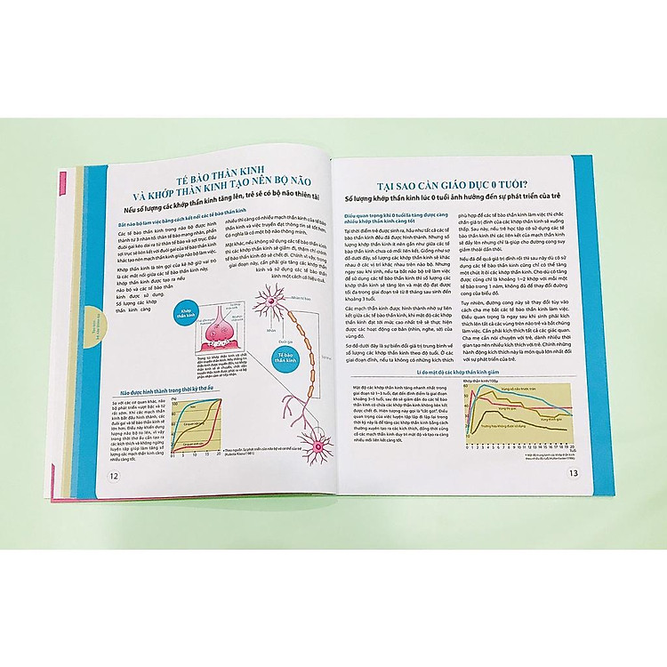 Dạy Con Kiểu Nhật - Giai Đoạn 0 1 2 Tuổi - Ảnh 2