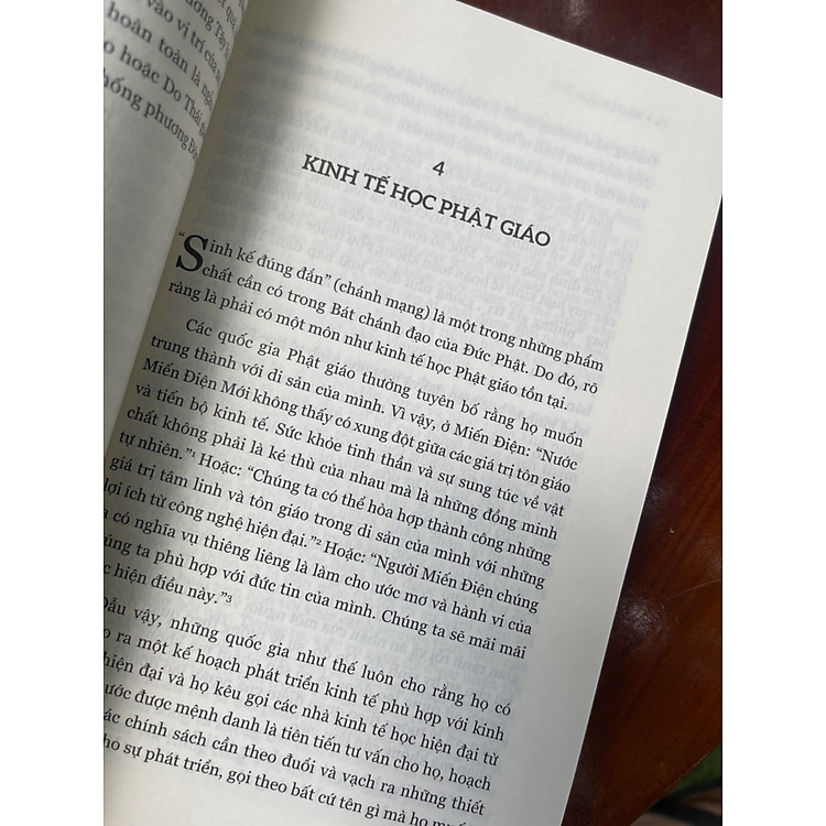 NHỎ LÀ ĐẸP - E. F. Schumacher - Ảnh 6