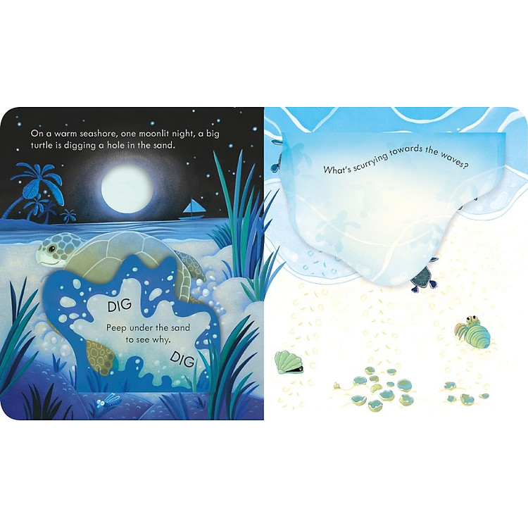 Tương Tác Thiếu Nhi Tiếng Anh: Peep Inside The Seashore - Ảnh 2