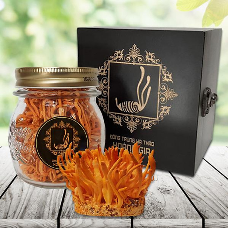 Đông Trùng Hạ Thảo Sợi Khô Sấy Thăng Hoa Hoàng Gia Giàu Vitamin Hỗ Trợ Điều Hoà Huyết Áp 18gr