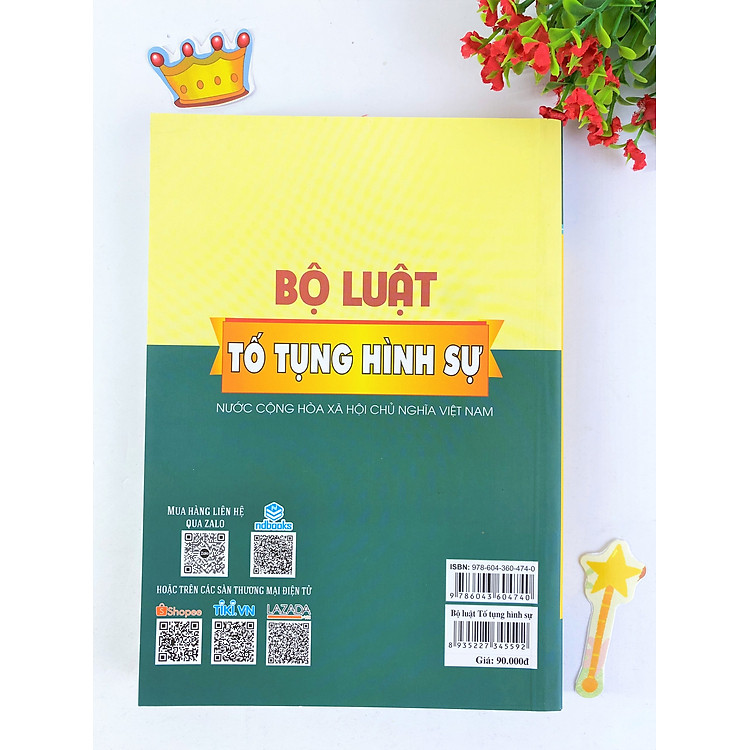 Bộ luật hình sự và Bộ luật tố tụng hình sự (Hiện hành) - Ảnh 4