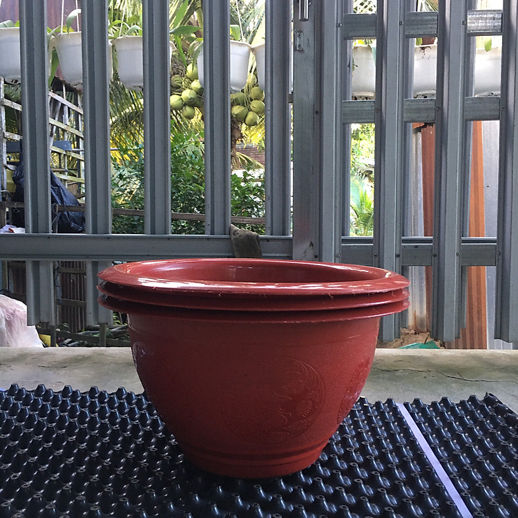 Chậu nhựa trồng cây T43 hoa văn tứ linh
