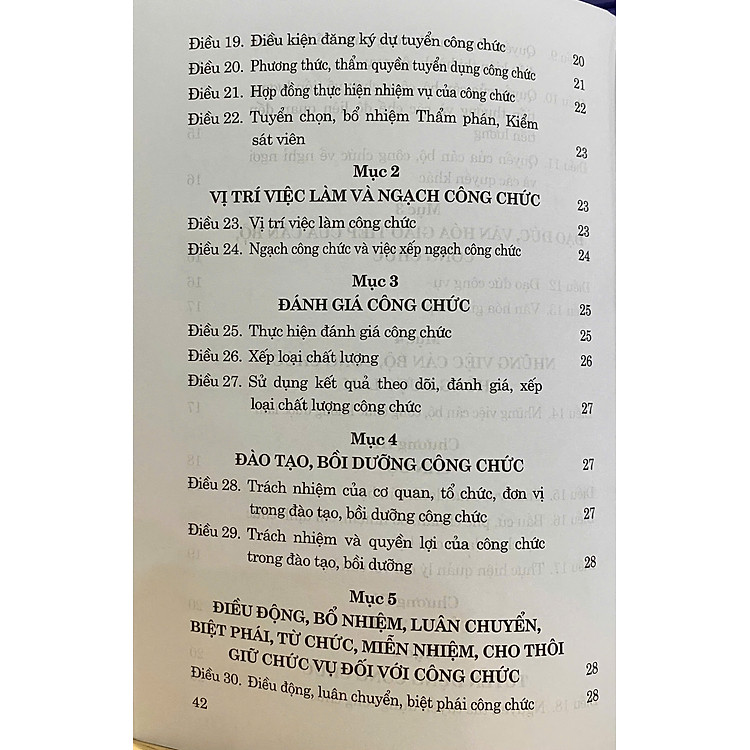 Luật Cán Bộ, Công Chức Năm 2025 - Ảnh 4