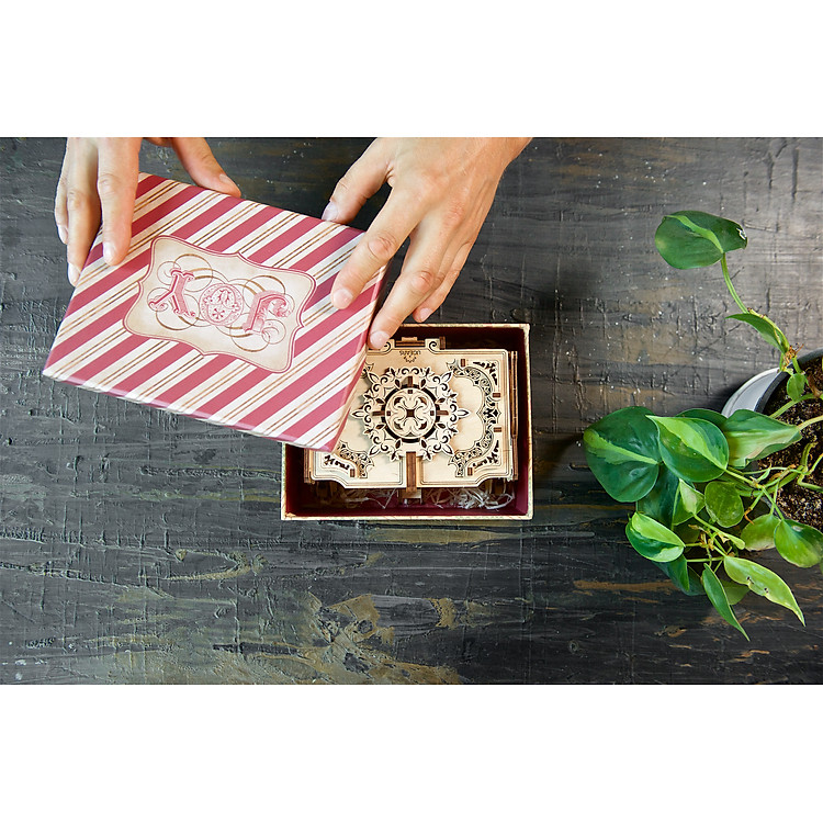 Mô Hình Gỗ Cơ Khí Ugears Hộp Nữ Trang Chính hãng Tiết kiệm - Hình ảnh 4