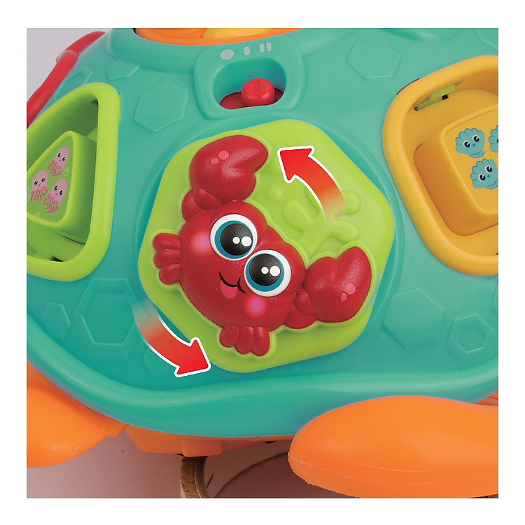 Đồ Chơi Rùa Học Hình Khối WINFUN Chính hãng Ưu đãi - Hình ảnh 5
