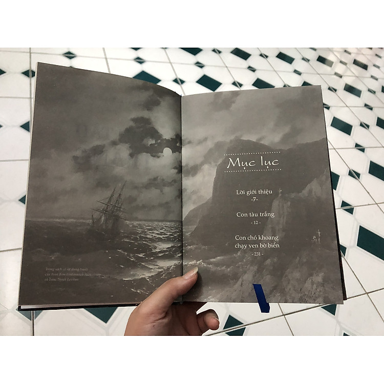 Con tàu trắng - Ảnh 3