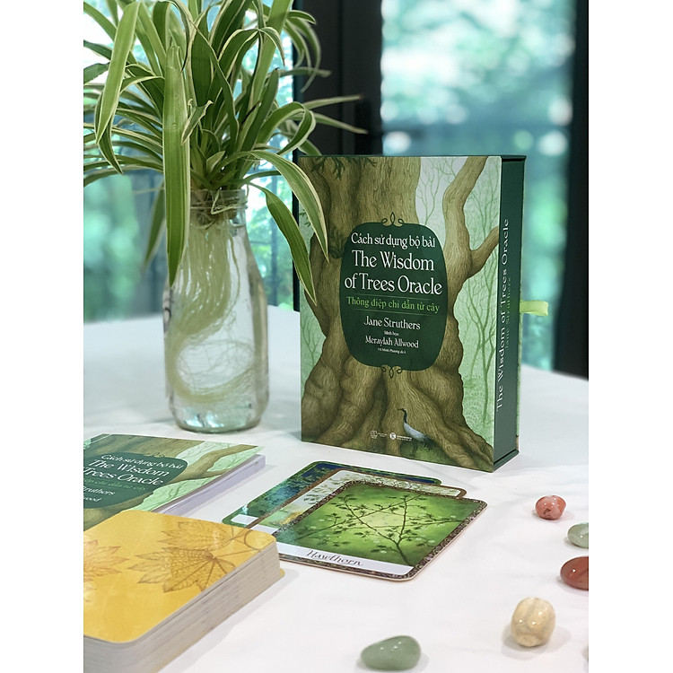 Cách sử dụng Bộ bài Wisdom of Trees Oracle - Ảnh 5