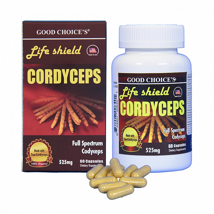 Thực phẩm chức năng Đông trùng hạ thảo - Life shield Cordyceps