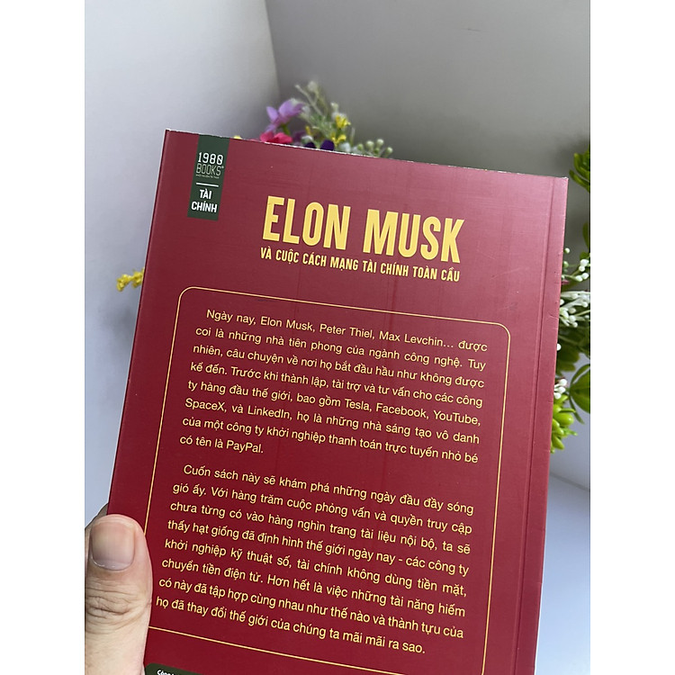 ELON MUSK VÀ CUỘC CÁCH MẠNG TÀI CHÍNH TOÀN CẦU - Ảnh 4