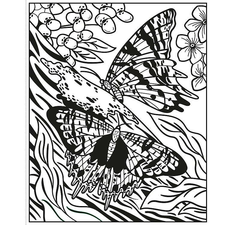 Butterflies Magic Painting Book - Ảnh 5