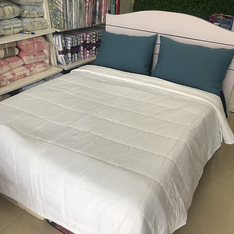 Ruột chăn - gối ôm DULCETT Chính hãng Ưu đãi - Hình ảnh 4