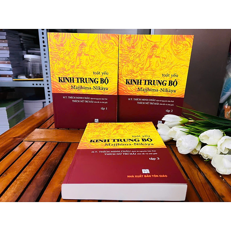 Toát Yếu Kinh Trung Bộ - Ảnh 4