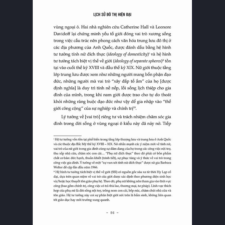 Lịch sử đô thị hiện đại - Ảnh 3