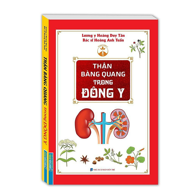 Thận Bàng Quang Trong Đông Y
