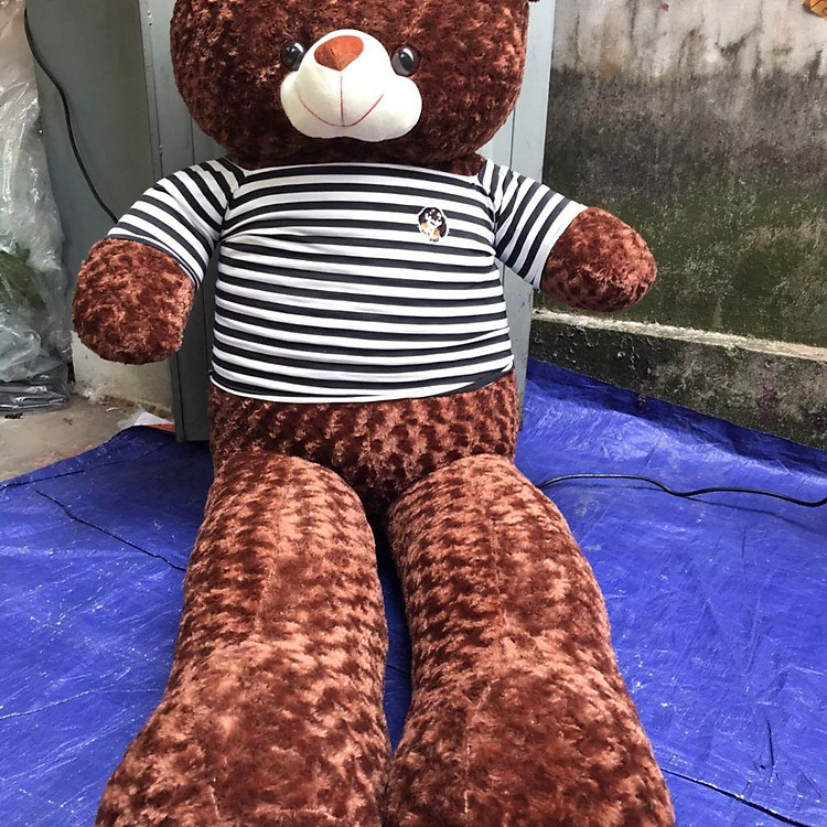 Gấu Bông Teddy 1m8 siêu đáng yêu ôm siêu phê