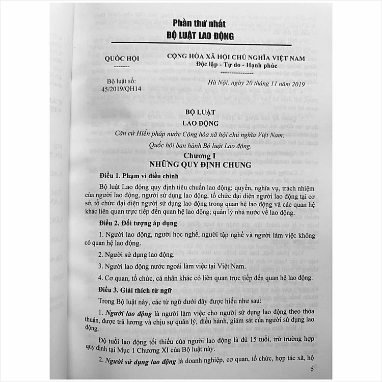 Bộ Luật Lao Động Và Hệ Thống Thang Bảng Lương (V2458T) - Ảnh 3