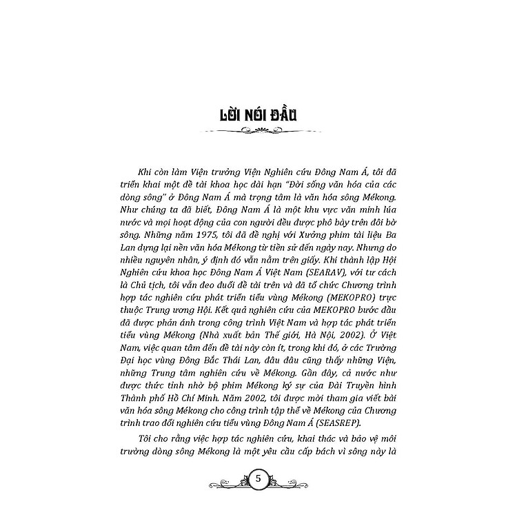 Có Một Vùng Văn Hóa MeKong - Ảnh 3
