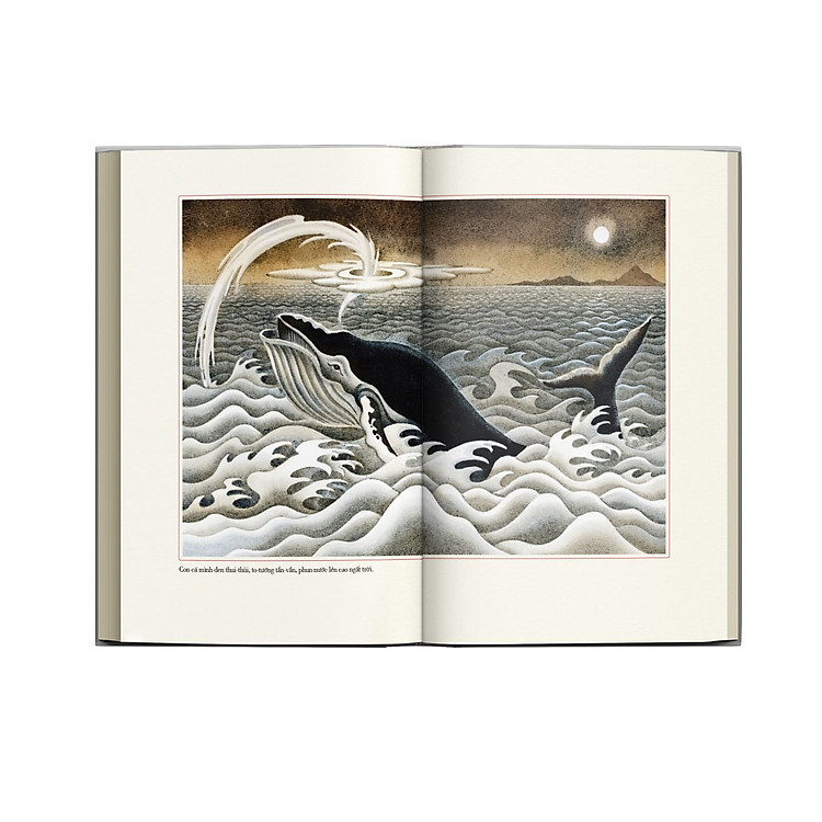 Quả dưa đỏ - Ảnh 6