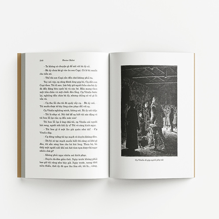 Classic - Không Gia Đình - Ảnh 6